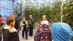 Iceland; - Greenhouse; Karen Drucker; Elizabeth Lemersal; Steve Sickels; Judith Christman;